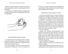 Pratiquer le chamanisme celtique