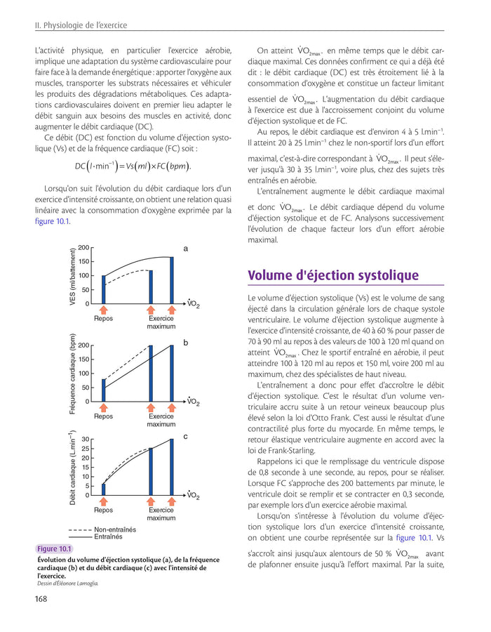 STAPS : anatomie, physiologie, neurosciences et biomécanique