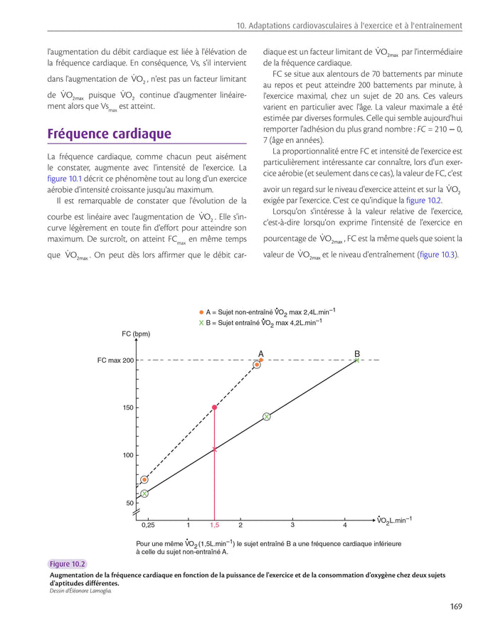 STAPS : anatomie, physiologie, neurosciences et biomécanique