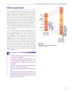 STAPS : anatomie, physiologie, neurosciences et biomécanique