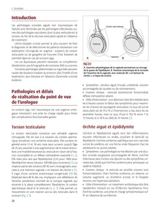 Imagerie de la prostate et des organes génitaux de l'homme