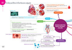 Diplôme Infirmier - DEI - Cartes mentales - Pathologies inflammatoires et infectieuses