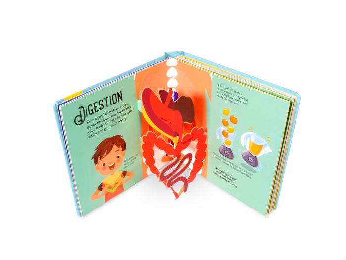 Amazing pop-ups - Human body