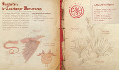 Dragons - Le guide géant des dragons