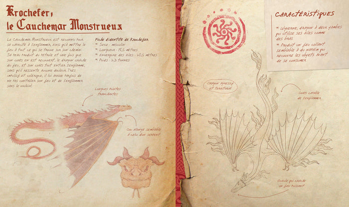 Dragons - Le guide géant des dragons