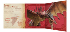 Dragons - Le guide géant des dragons