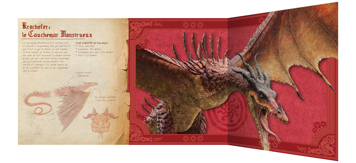 Dragons - Le guide géant des dragons