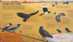 Quatre saisons en pleine nature