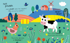 Où es-tu petit poussin ?