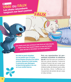 STITCH découvre le monde