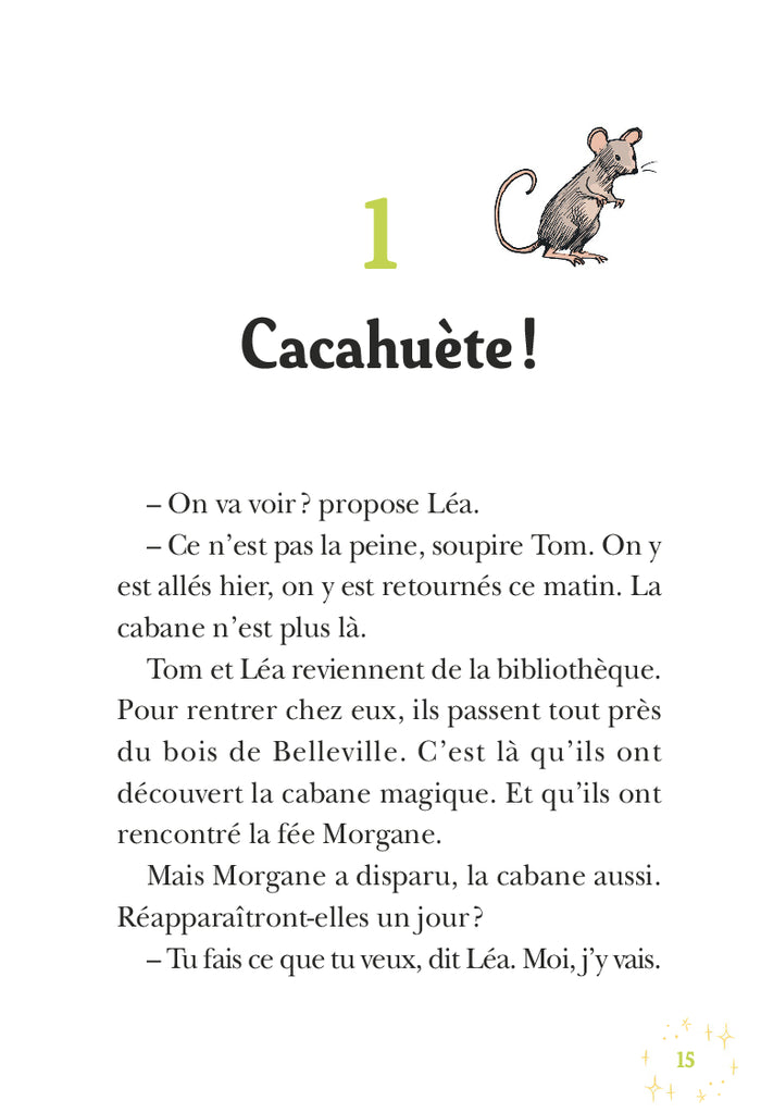 La Cabane Magique : À la recherche de la fée Morgane