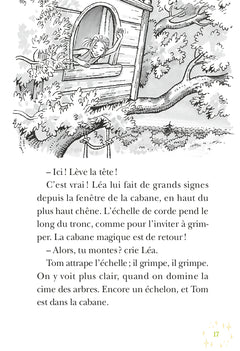 La Cabane Magique : À la recherche de la fée Morgane