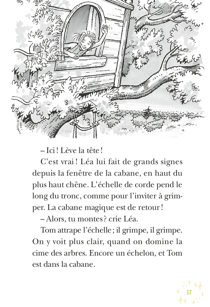 La Cabane Magique : À la recherche de la fée Morgane