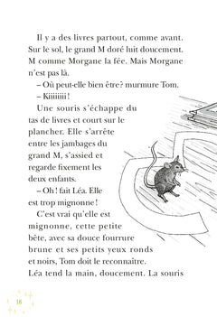 La Cabane Magique : À la recherche de la fée Morgane
