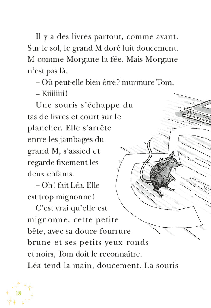 La Cabane Magique : À la recherche de la fée Morgane