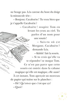 La Cabane Magique : À la recherche de la fée Morgane