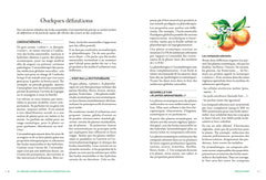 Le grand guide des huiles essentielles