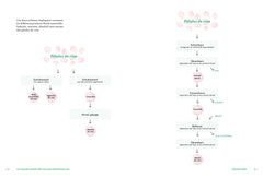 Le grand guide des huiles essentielles