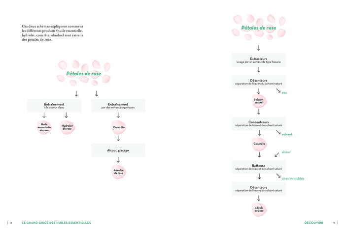 Le grand guide des huiles essentielles