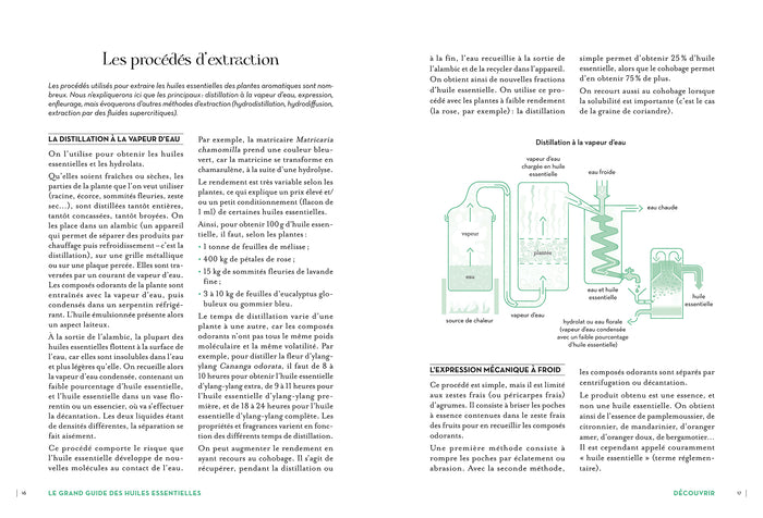 Le grand guide des huiles essentielles