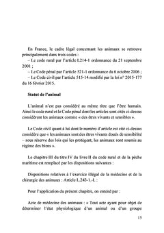 Premiers secours pour chiens et chats