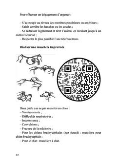 Premiers secours pour chiens et chats