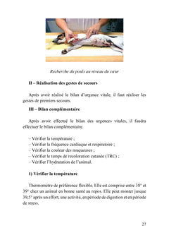 Premiers secours pour chiens et chats