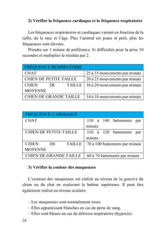 Premiers secours pour chiens et chats