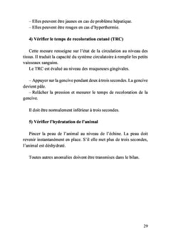 Premiers secours pour chiens et chats