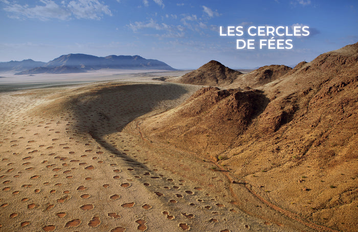 La nature, entre science et mystère