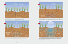 La nature, entre science et mystère