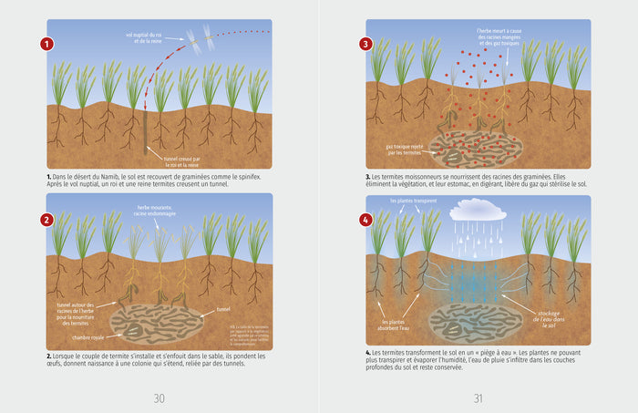 La nature, entre science et mystère