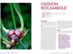 Mon potager de vivaces