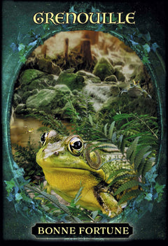 L'oracle des familiers des sorcières