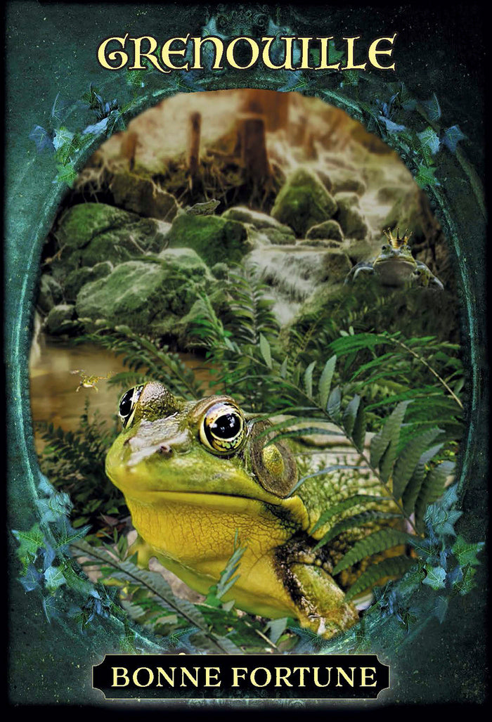 L'oracle des familiers des sorcières