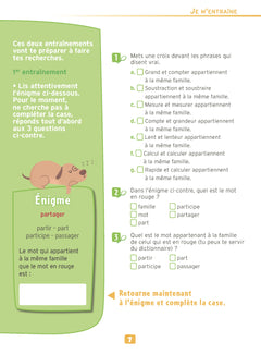 100 énigmes pour réussir en maths 10/11 ans