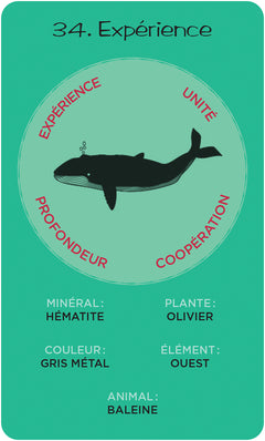 La roue de médecine de Sun Bear - Cartes Oracle