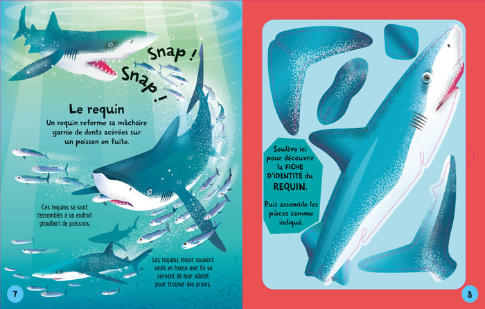 Je construis mes animaux marins en 3D