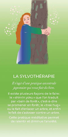 Holistic Beauty