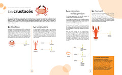 Le grand cours des accords mets et vins