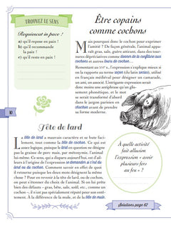 Connaissez-vous vraiment le sens des expressions fleuries de nos grands-mères ?