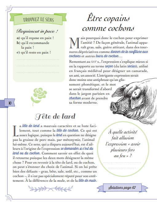 Connaissez-vous vraiment le sens des expressions fleuries de nos grands-mères ?