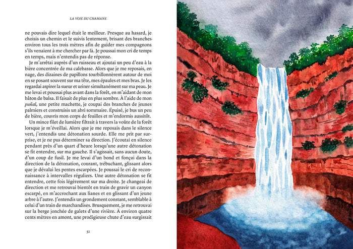 La voie du chamane collector