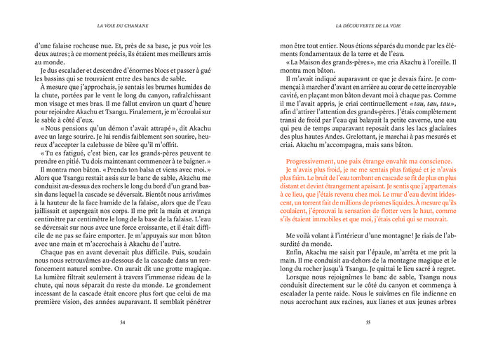 La voie du chamane collector