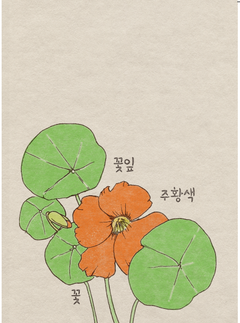 101 nuances de coréen