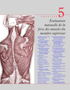 Le bilan musculaire de Daniels et Worthingham