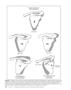 Le bilan musculaire de Daniels et Worthingham