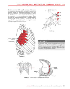 Le bilan musculaire de Daniels et Worthingham