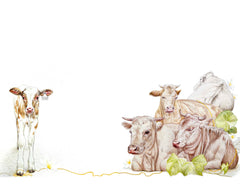 Consciences animales collector