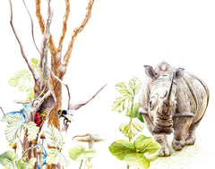 Consciences animales collector